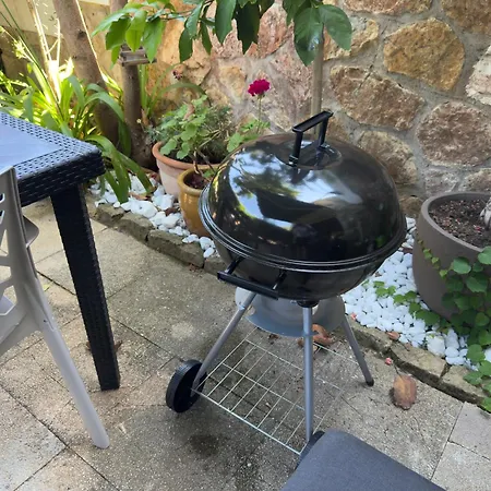 Fleurs Cap D'antibes Appartement